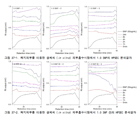 돼지피부를 이용한 생체외 (in vitro) 피부흡수시험 후 HPSEC 개별 분석 결과