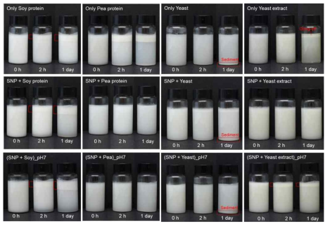 식물성 단백질과 SNP첨가에 따른 피커링 에멀션 사진