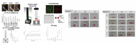 복합체의 점도, 주입강도, 세포생존률 및 온도 감응성 시험