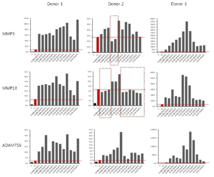 자가 줄기세포의 catabolic related gene 에 대한 치료 효과