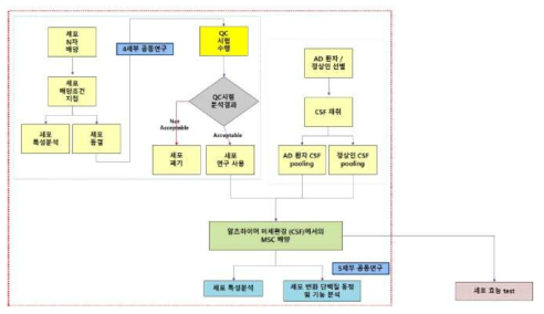 알츠하이머 미세환경에 노출된 중간엽줄기세포의 변화 연구 전체 모식도