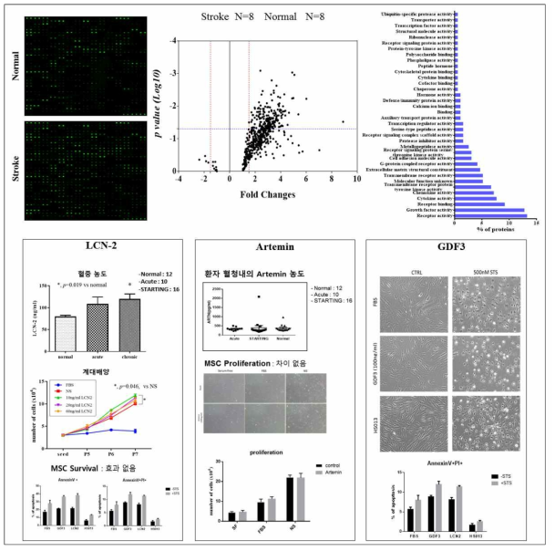 뇌경색환자 혈청 단백질 발현 변화