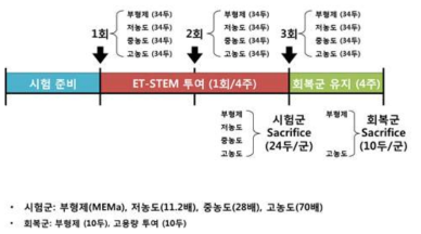 GLP독성시험 디자인