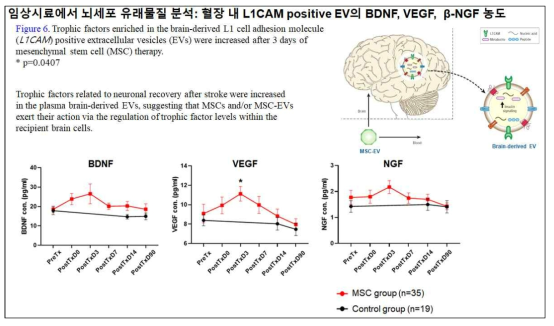 줄기세포 투여 후 혈중 L1CAM 양성 EV 안의 trophic factor 분석