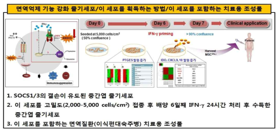 중간엽 줄기세포의 면역억제능 증진을 위한 기능 강화 전략 모식도: 특허 출원