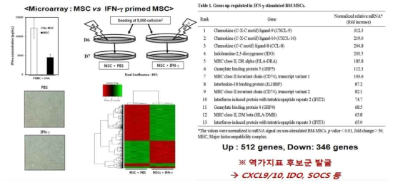 인터페론 감마 전처리 중간엽 줄기세포의 Microarray 유전자 발현 분석