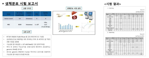 생체 분포 시험