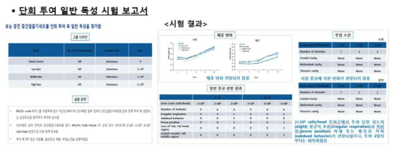 단회 투여 일반 및 면역 독성 시험