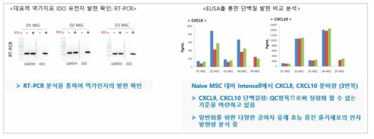 역가지표 발현분석: RT-PCR을 이용한 유전자발현 분석 및 ELISA를 이용한 단백질량 분석