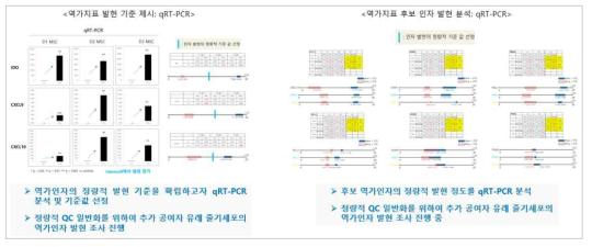 qRT-PCR을 이용한 역가지표 발현량 QC 기준 확립