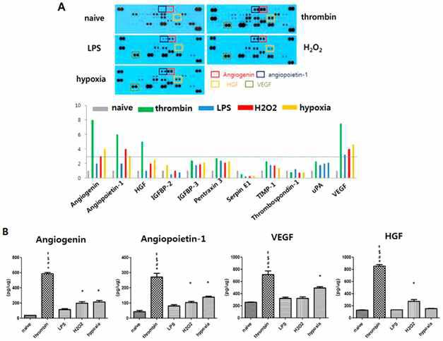 단백체 분석을 통한 exosome 내 치료 인자 분석