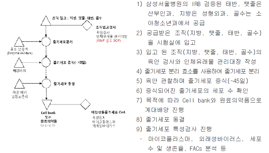 줄기세포 기본공정 흐름도