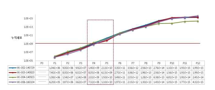 탯줄유래중간엽줄기세포(Small Scale) Cumulative Cell(이론생산량)