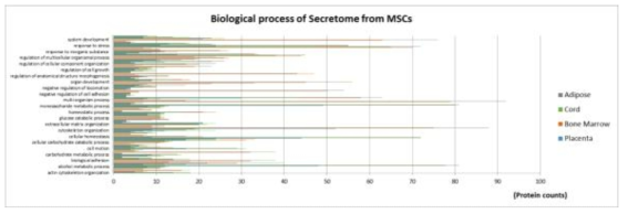 소스별 중간엽줄기세포 분비단백질의 biological process