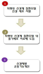 신경계 질환 대상 줄기세포 재생치료제 최적화