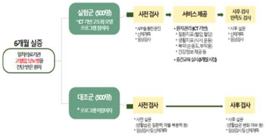 3차년도 대규모 시범사업 프로세스