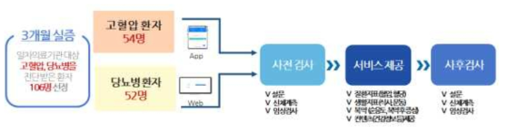 소규모 시범사업 요약