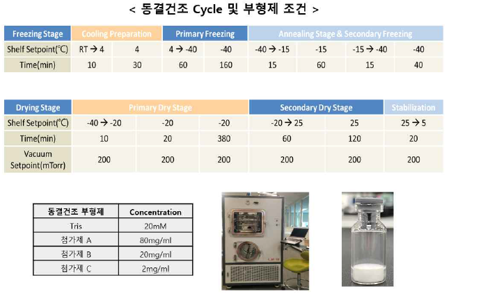 신규 결핵 subunit 백신용 항원의 동결건조제형 조건 및 시제품 생산