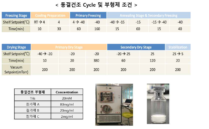 신규 결핵 subunit 백신용 항원의 동결건조제형 조건 및 시제품 생산