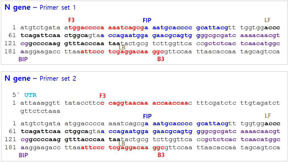 코로나 N 유전자를 이용한 LAMP 프라이머 설계