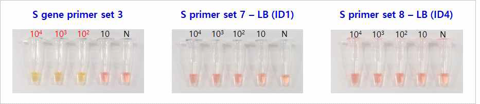 코로나 S 유전자를 이용한 LAMP 프라이머 민감도 평가