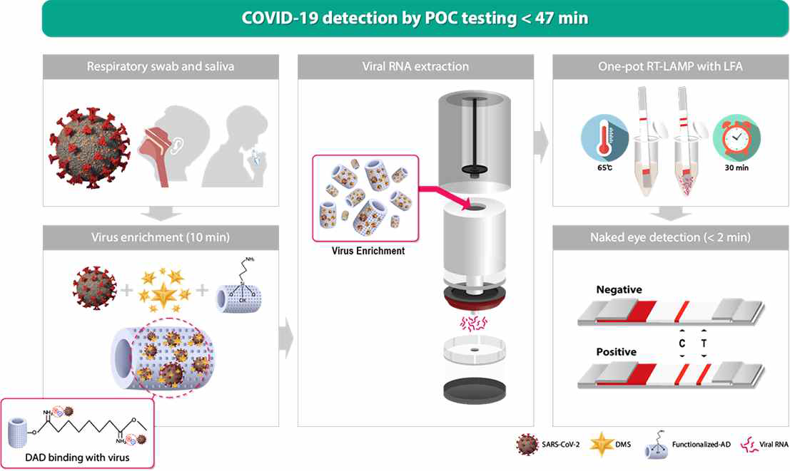 코로나 19 분자진단 SdMDx 시스템 모식도