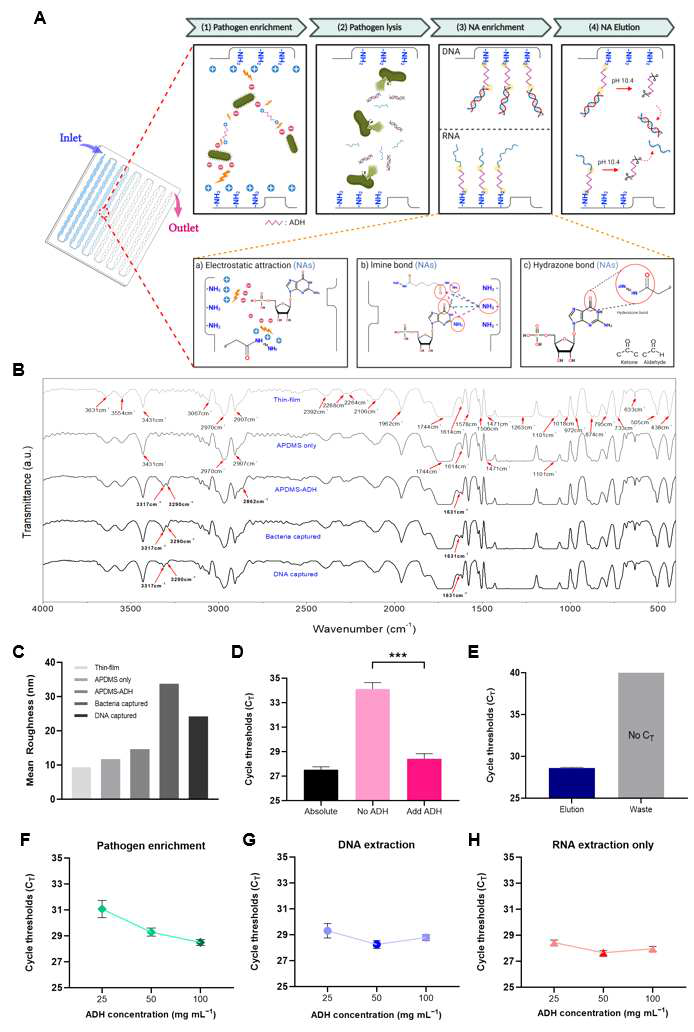 미세유체 플랫폼의 병원체 농축 및 핵산 추출 메커니즘 및 ADH 농도 최적화
