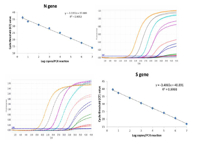 Correlation curves of the S gene (B) and the N gene (D) generated by linear regre ssion plots of the cycle threshold values, and in vitro synthetic control RNA using the am plification curves of the S gene (A) and the N (C) gene