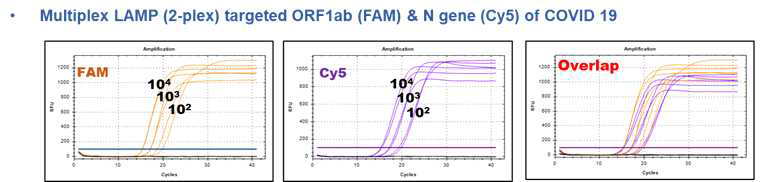 Switching Probe를 활용한 두가지 타겟(COVID-19의 ORF1ab와 N gene)의 검출 시험