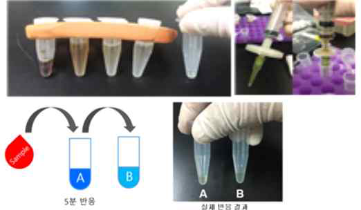 Swab 시료 전처리 및 정제 기술 개발