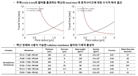 핵산의 travel time 대 공극 사이즈에 대한 수식적 해석 결과