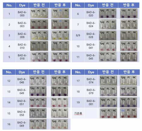 마그네슘 검출용 발색염료의 MRSA 검출 키트 적용 시험