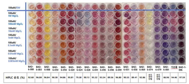 합성한 핵산 표지용 발색 염료 화합물 20여종 HPLC 순도 테스트