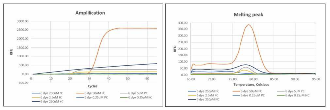 BAD-1-015 real-time LAMP & Melting analysis 결과