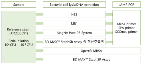 표준균주를 이용한 MRSA 등온증폭 진단시약의 사전 탐색 임상 평가 과정