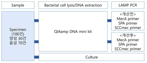 임상검체를 이용한 MRSA 등온증폭 진단시약의 사전 탐색 임상 평가 과정3