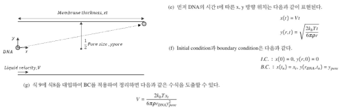 다공성 필터 내 유체의 유동속도 수식 도출