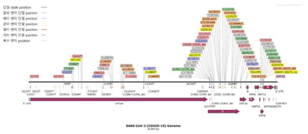SARS-CoV-2 유전체 서열에서 진단 키트 제작을 위한 변이 영역