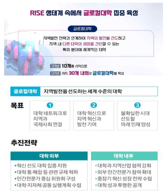 글로컬 대학 30 추진 방안