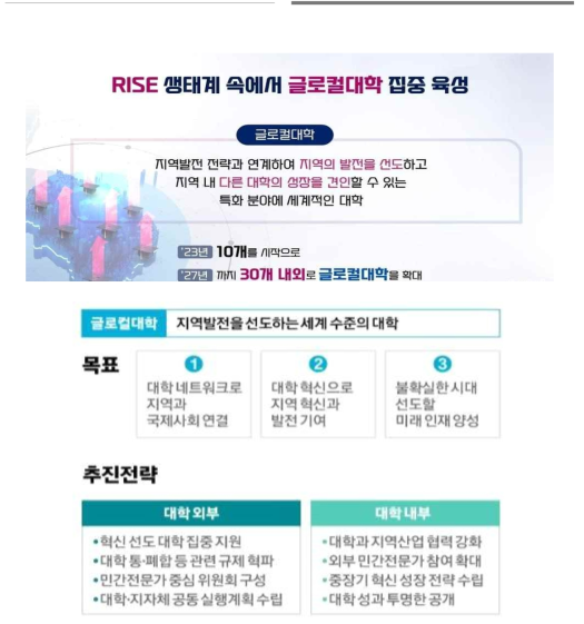 글로컬 대학 30 추진 방안