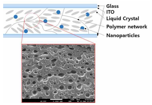 스마트윈도우용 액정과 광개시제의 폴리머 네트워크 구조