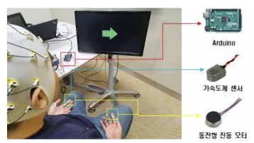 진동자극 기반의 SSSEP 측정 실험 환경