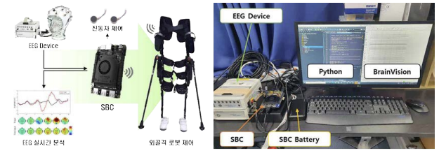 SBC와 Python 기반 뇌 신호 수집 및 실시간 외골격로봇 제어