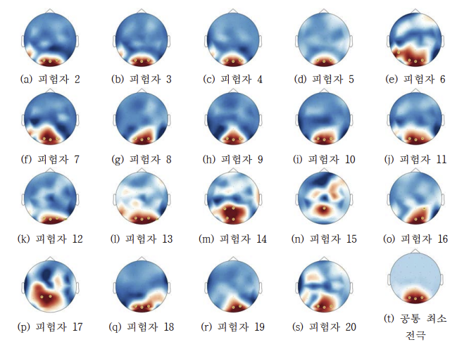 피험자 2~20에 대해 각각 선택된 최소 전극 집합 (a~s) 및 공통 최소 전극 집합 (t)