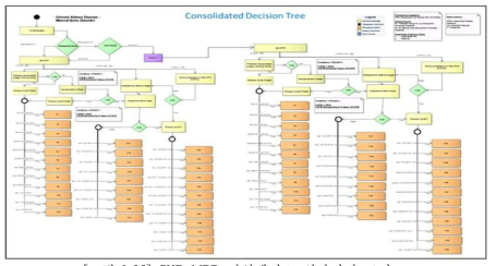 CKD-MBD 지식베이스 의사결정 트리