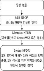 당뇨병성 망막병증의 등급 분류 진단 시스템