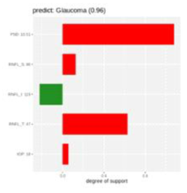 An example of SHAP charts