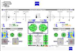 VF-OCT combined data sample