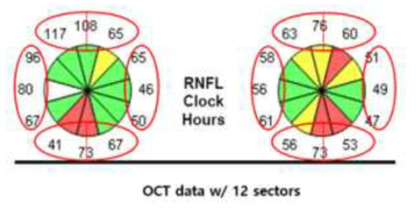 단국대 RNFL Clock Hours