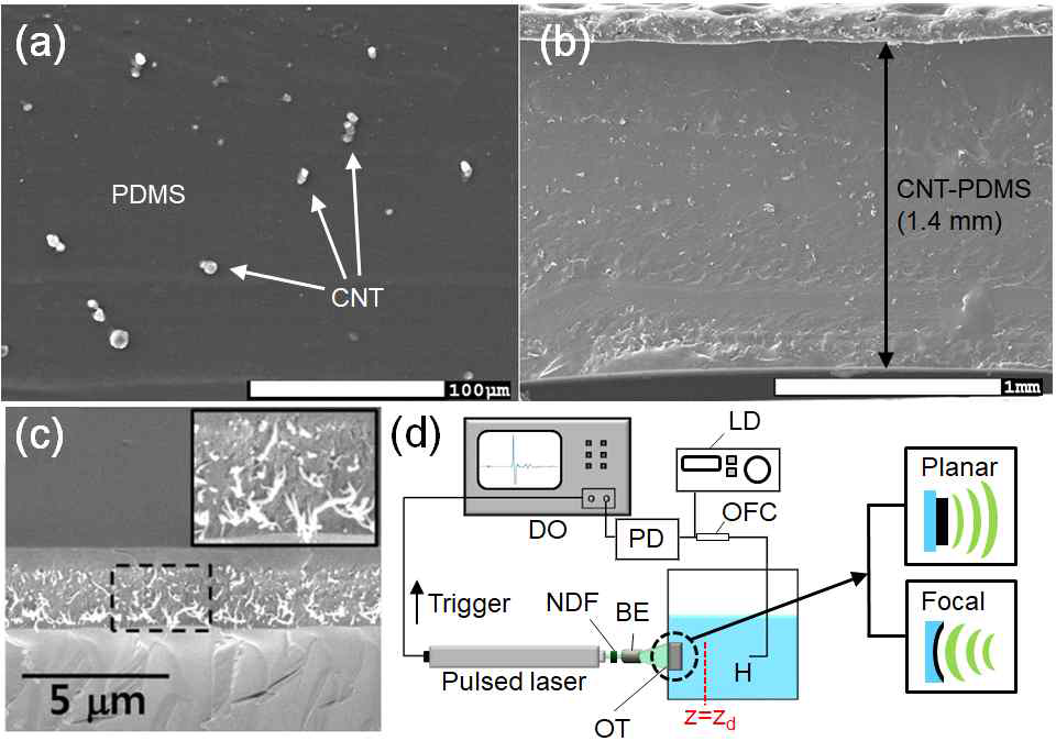 (a), (b) 용액공정을 통해 제작된 CNT-PDMS 합성물 박막의 SEM 사진. (c) 기존HTCVD를 통해 만들어진 CNT-PDMS 합성물의 SEM 사진 (비교 목적으로 발췌함; 출처: Baac et al., Appl. Phys. Lett. 97, 234104, (2010)). (d) 발진체 측정 셋업)